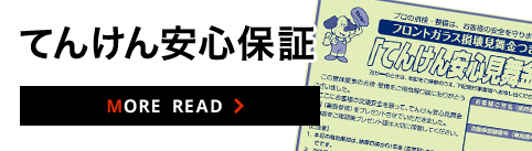 てんけん安心保険
